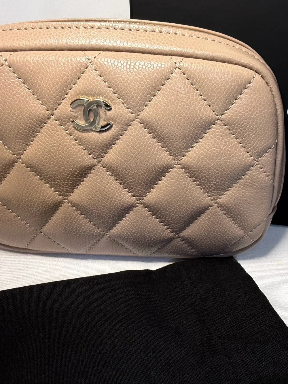 CHANEL Beige Small Curvy Pouch 26C
